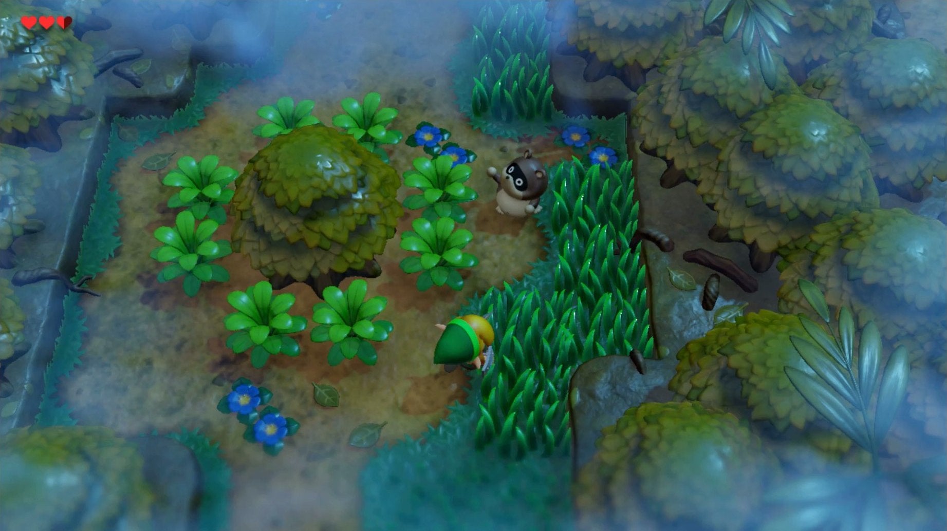 Zelda Link's Awakening Mysterious Forest How to Get Past the Raccoon